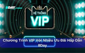 Chương trình VIP với nhiều ưu đãi hấp dẫn 8day dành cho ai?