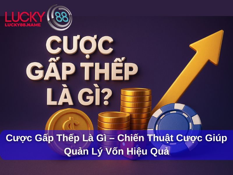 Chiến thuật chơi cược gấp thếp quản lý vốn hiệu quả